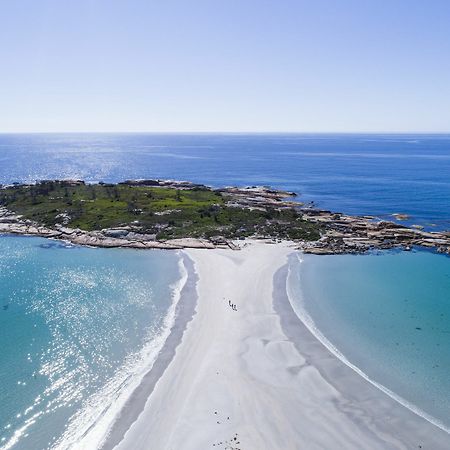 Diamond Island Resort, Restaurant & Bar And Penguin Show Bicheno Bagian luar foto