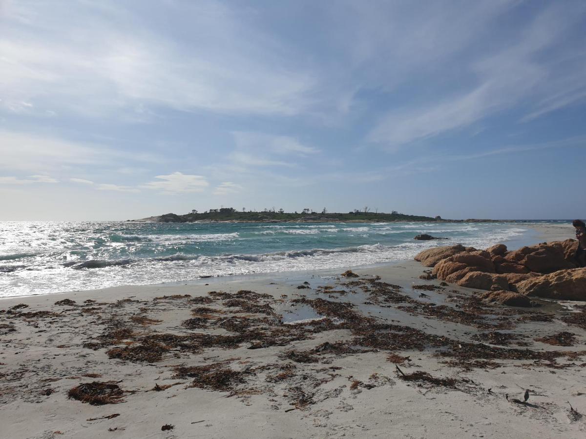 Diamond Island Resort, Restaurant & Bar And Penguin Show Bicheno Bagian luar foto